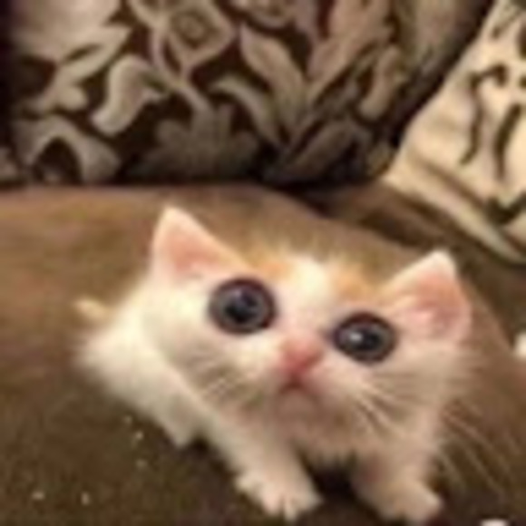 taeyongshurr